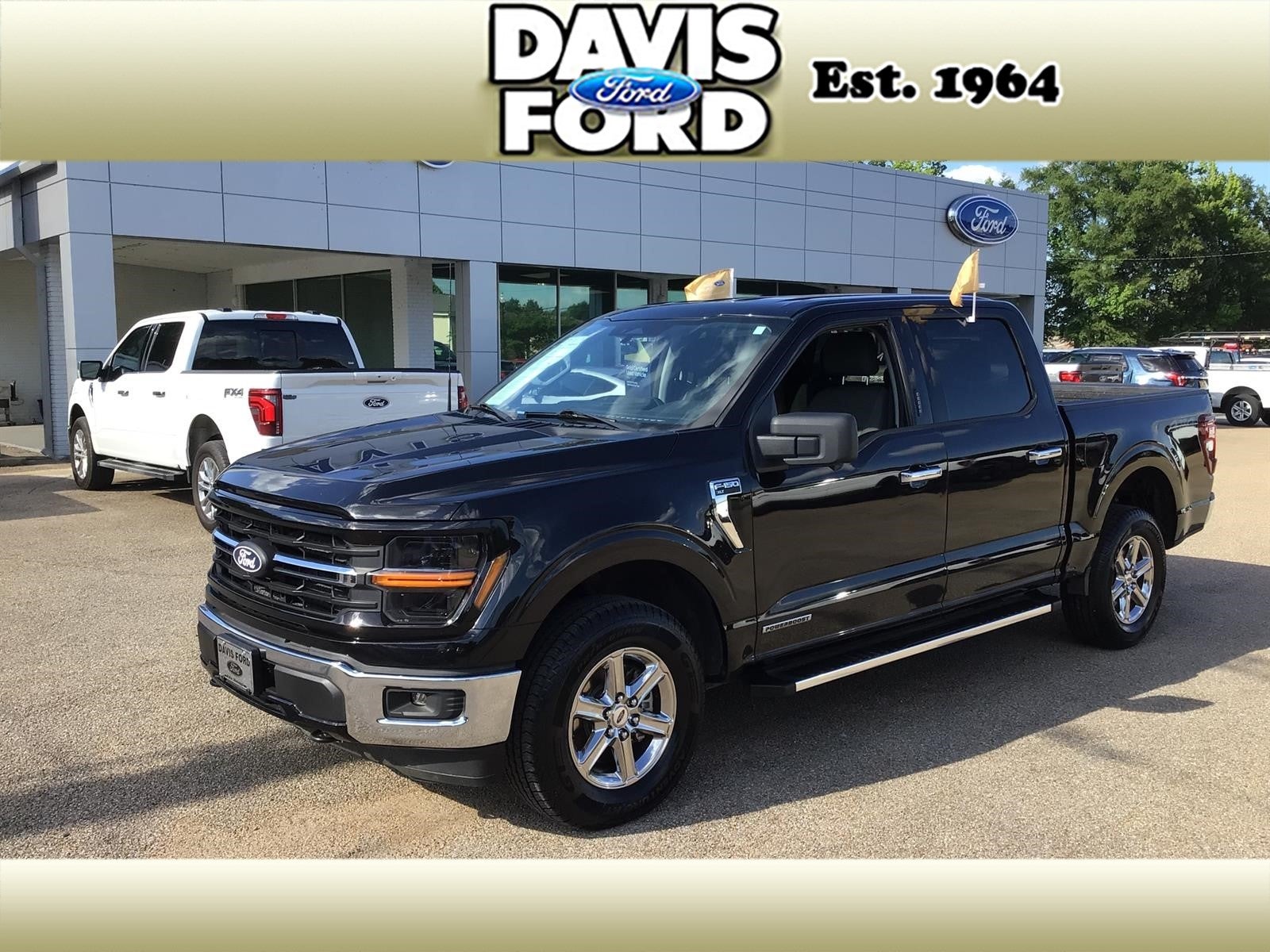 2024 Ford F-150 XLT in Agate Black Metallic — front three-quarter view